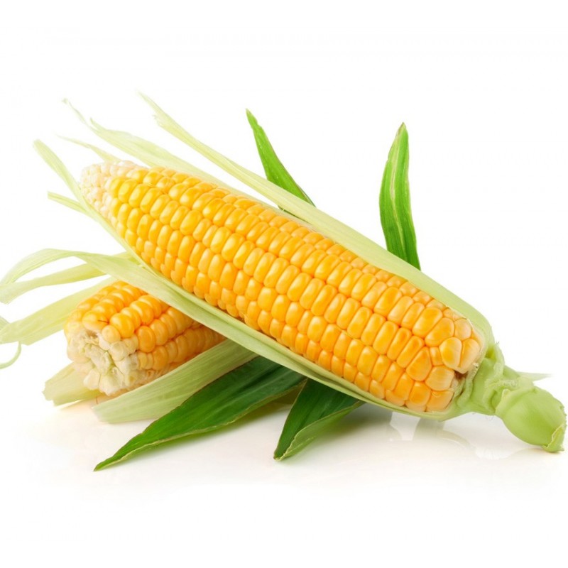 Corn